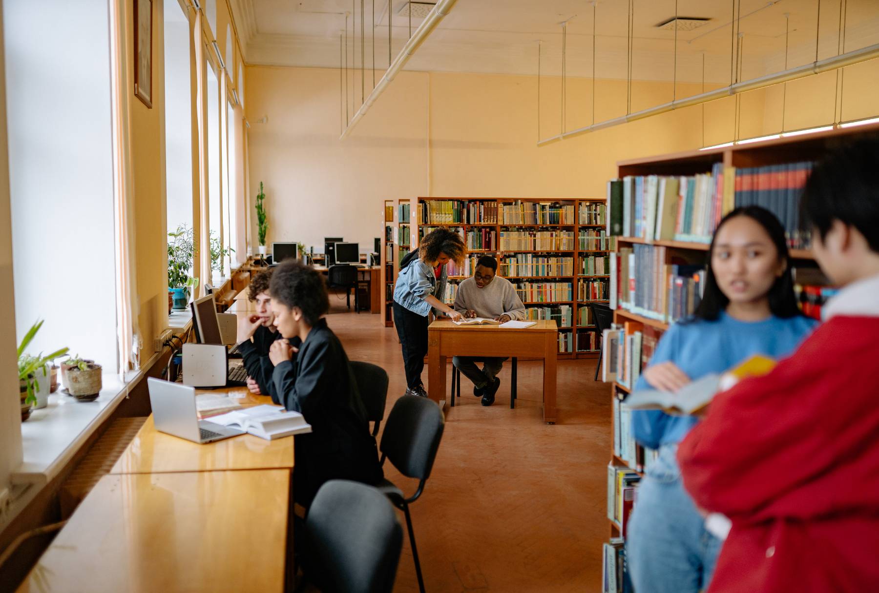 Kütüphanede ders çalışan öğrenciler ve kitap okuyanlar