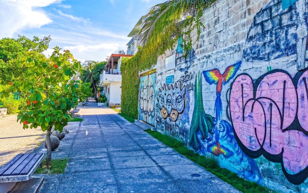 Yeşil bitkilerle çevrili sokak ve rengarenk duvar grafitileri